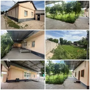 Продается дом в Янгиюльском районе, махалля Каратепа