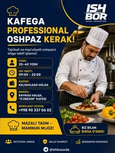 Профессиональный повар в кафе