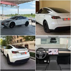 Tesla Model Y 2021-2022