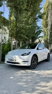 Tesla Model Y Dual motor 2024