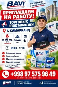 Торговый представитель в компанию BAVI