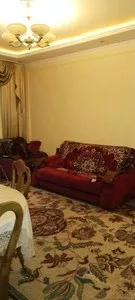 Трехкомнатная квартира на улице Чехова