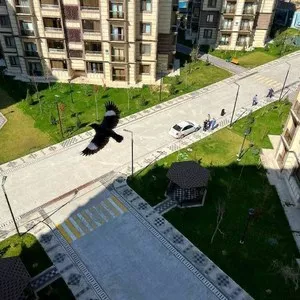 Трехкомнатная квартира в ЖК Istanbul City, 82 м²