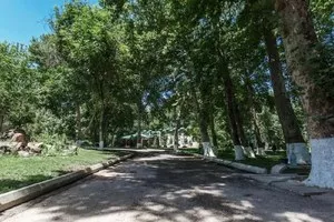 Участок 95 соток с домом в Чирчике, Роща Чина