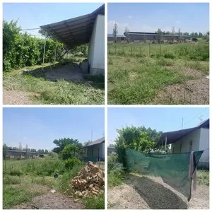 Участок в Оҳангаронском районе