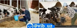 Вакансия: Опытный работник на ферму