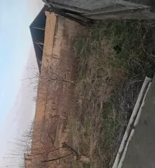 Yangiyo‘l tumanida yer sotiladi