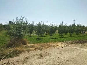 Земельные участки в Нурафшанском районе