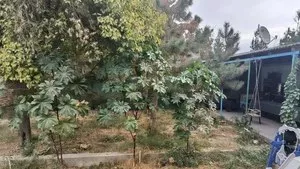 Земельный участок 2 сотки в районе парка Янги Узбекистан