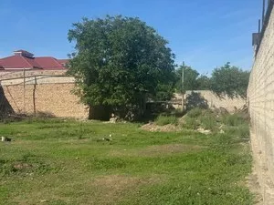 Земельный участок 21 сотка в Кибрайском районе