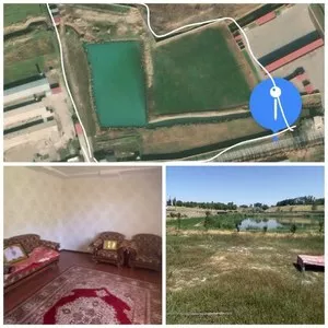Земельный участок 260 соток в Уртачирчикском районе