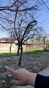 Земельный участок 4.5 сотки в Алмазарском районе